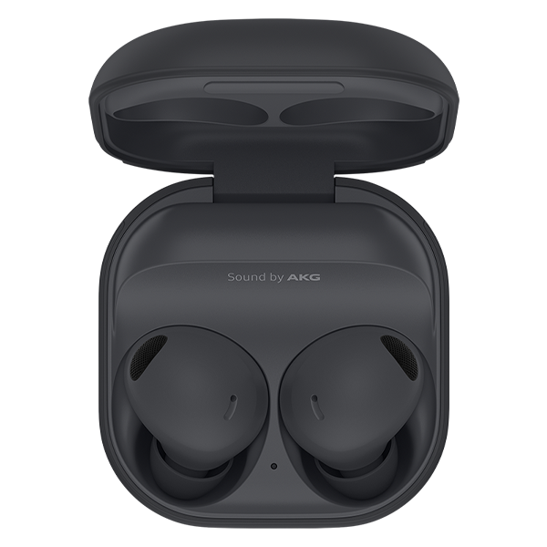 Galaxy Buds2 Pro Gray
                                    image number 0